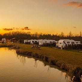 CAMPLIFY MOTORS INTO THE UK MARKET CAMPLIFY MOTORS INTO THE UK MARKET